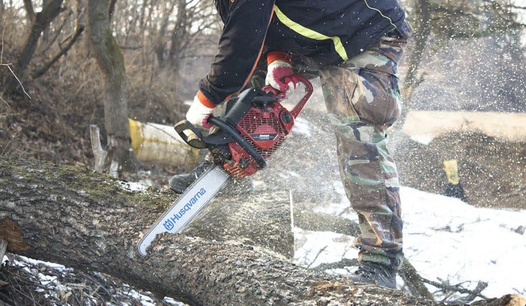 What Size Chainsaw Do I Need for Cutting Trees? BackyardGadget