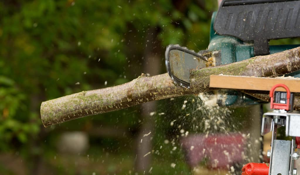 Are Battery Chainsaws Any Good? All Your Questions Answered