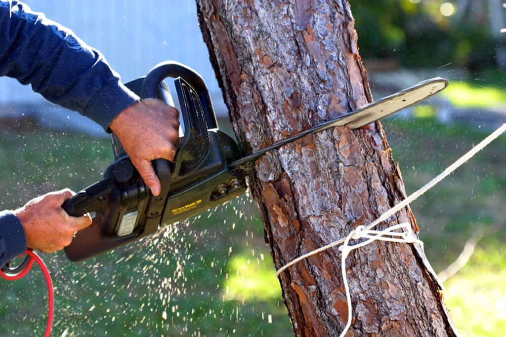 Do Electric Chainsaws Need Oil? BackyardGadget