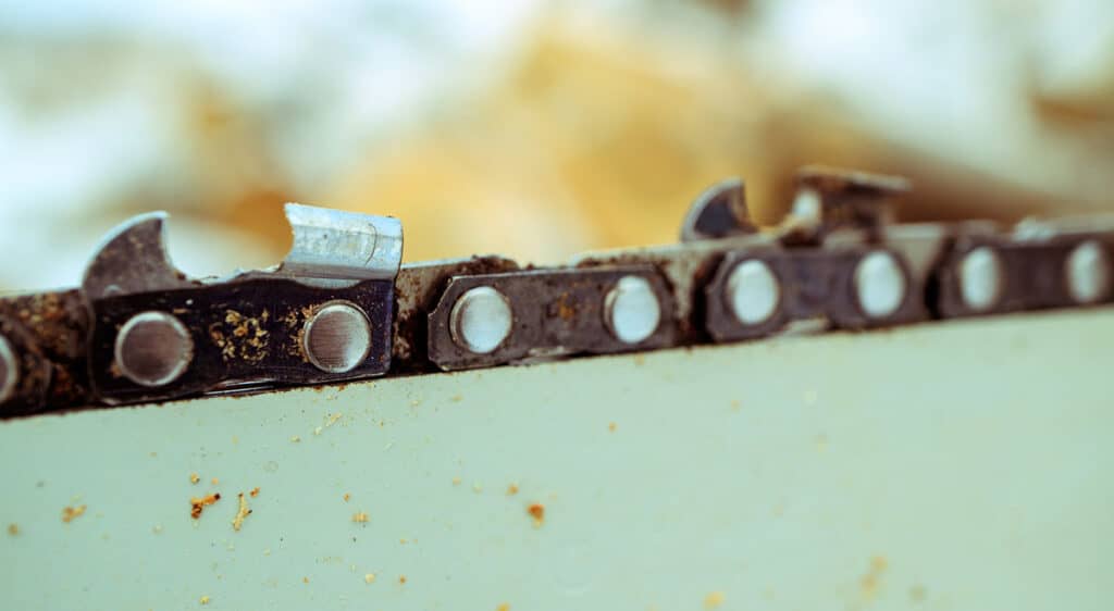 Are Chainsaw Chains Interchangeable? BackyardGadget