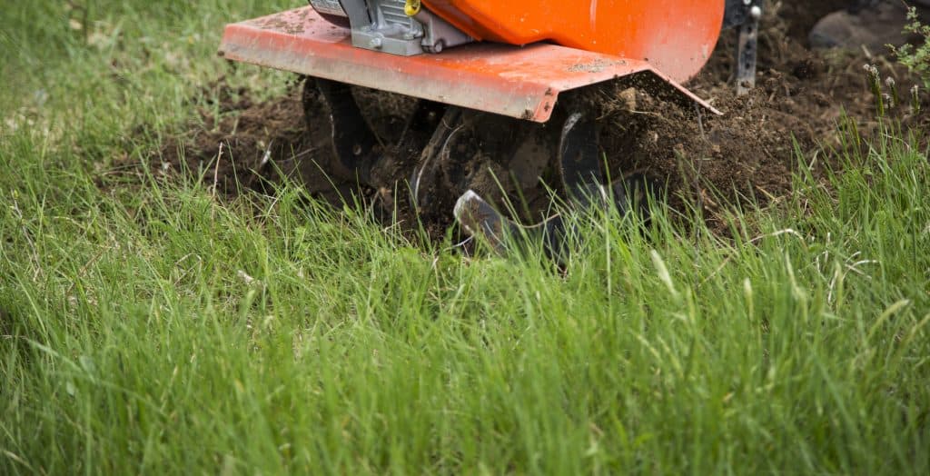 Should I Remove Grass Before Tilling? BackyardGadget